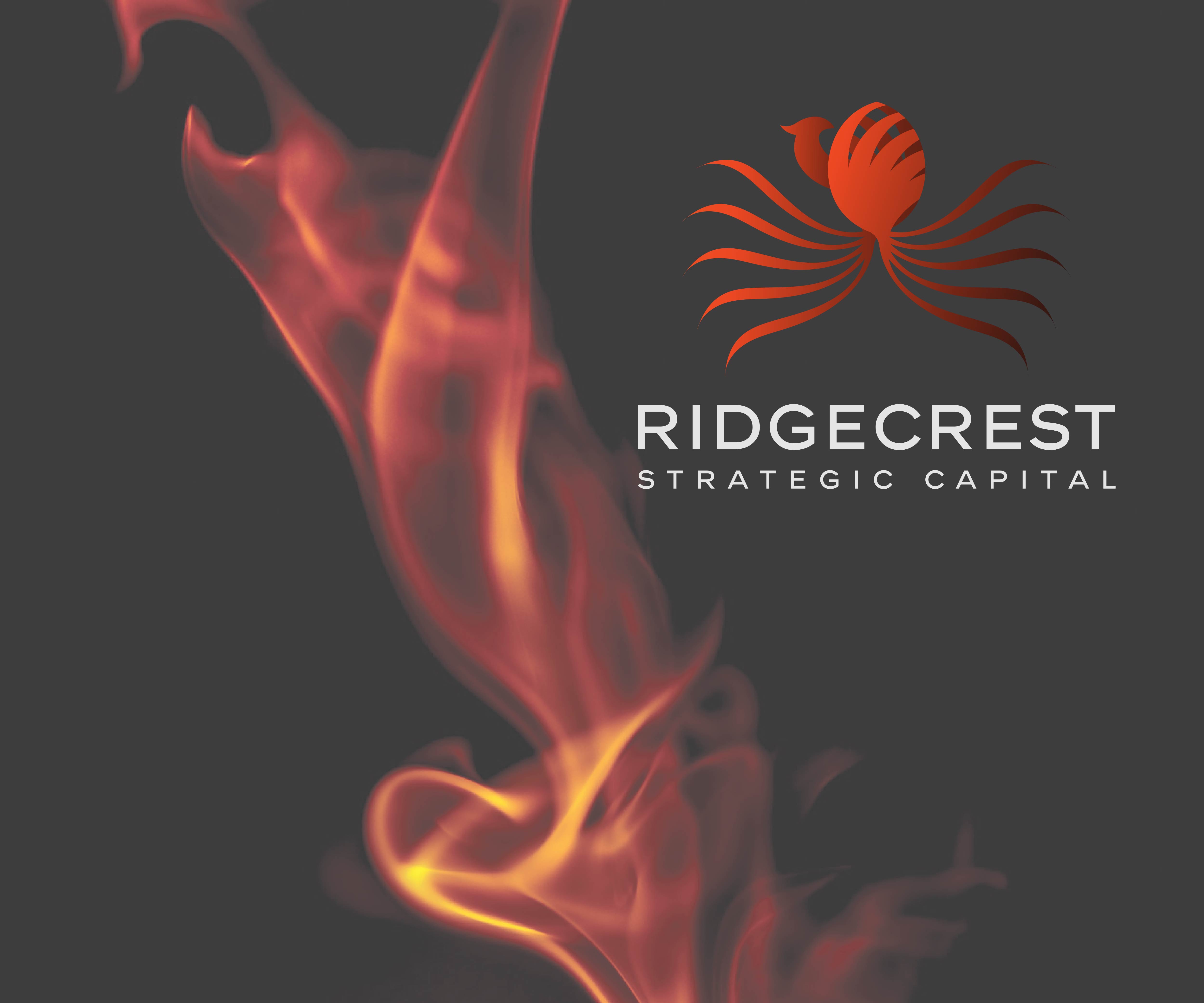 logo for company. The client wanted to embody the phoenix as an identity for the brand