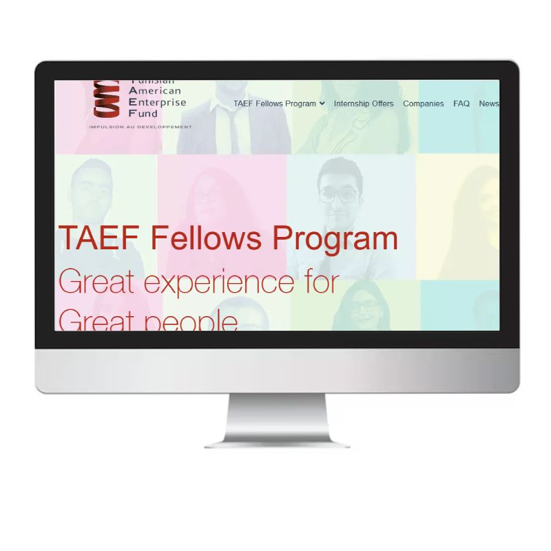 Fellows TAEF